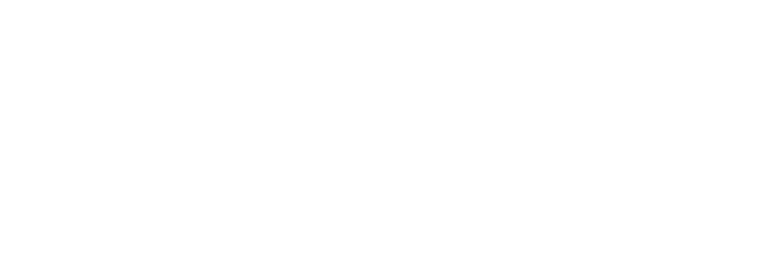 proffus logo