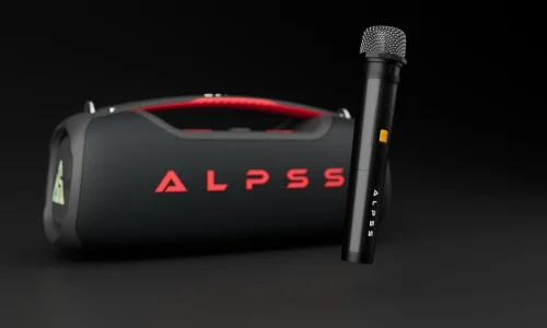 mic_result mic_result